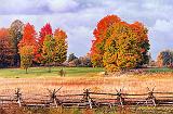 Autumn Landscape_29362-3